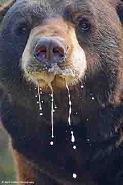 Class catalog graphic ClassGraphic