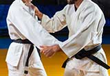 Intro to Judo Graphic