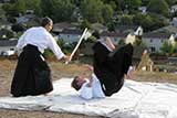 Introduction to Japanese Staff Arts: Aikijo Foundations Graphic